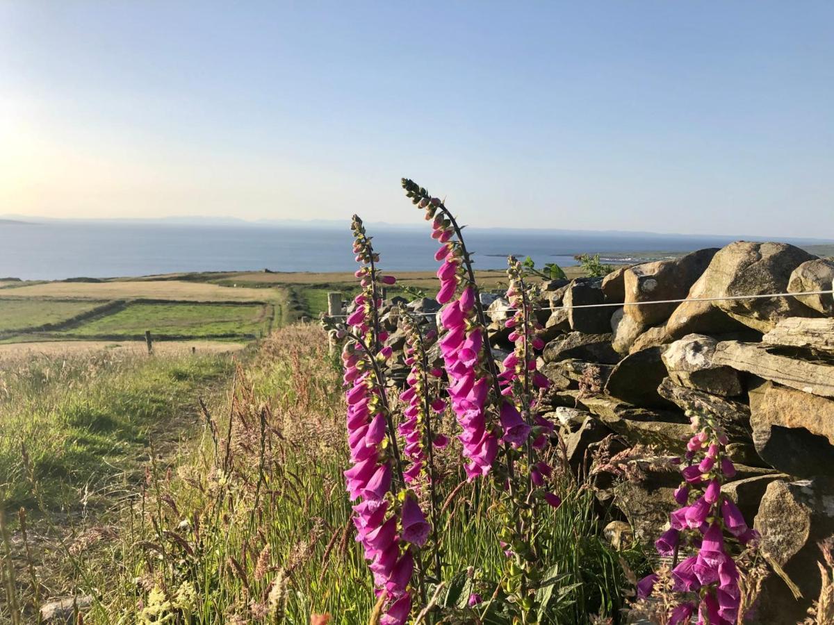 Ocean View Guestrooms Doolin Eksteriør bilde