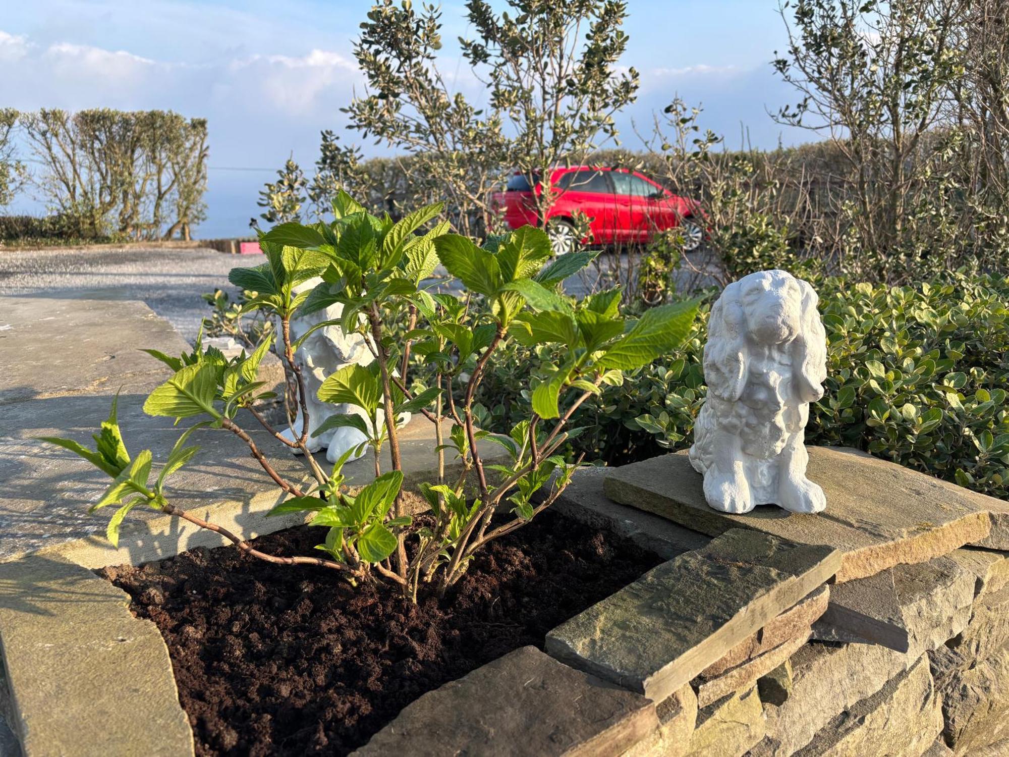 Ocean View Guestrooms Doolin Eksteriør bilde